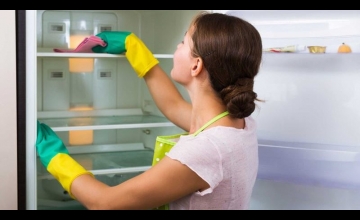 Плесень в холодильнике: причины и способы устранения